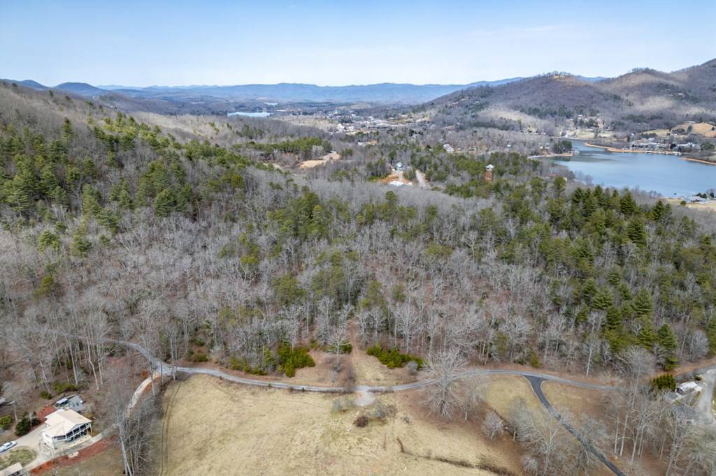 Hiawassee, GA 30546,7.3 AC Tay Walk Way