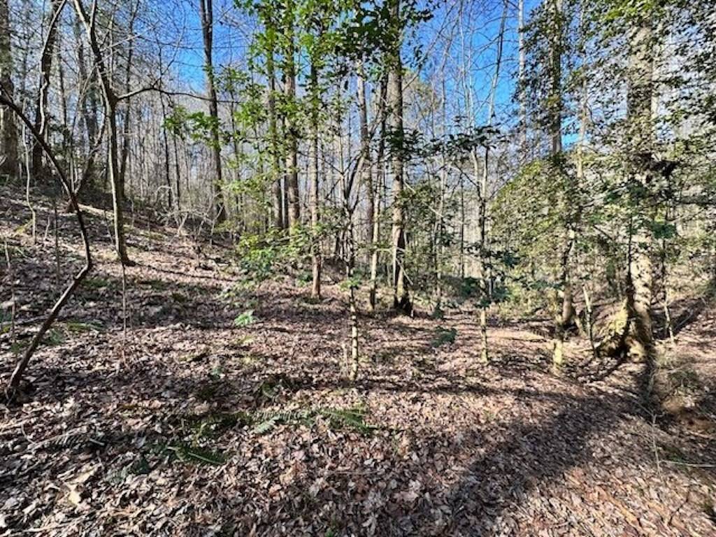 Ellijay, GA 30540,LT 3764R Eagle Mountain