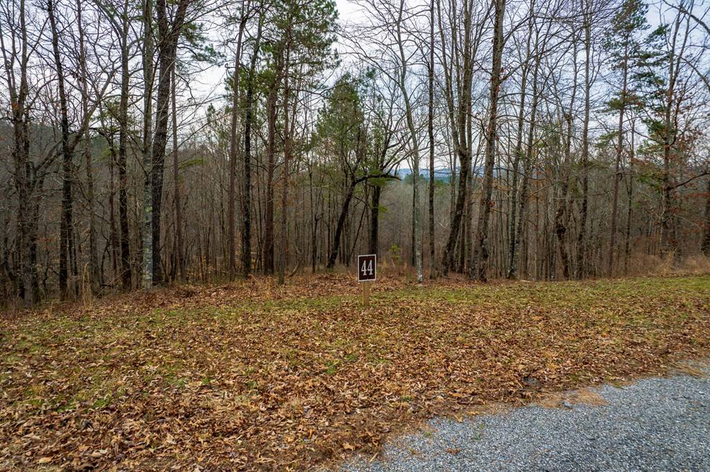 Talking Rock, GA 30175,Lot 44 Bucktail Way