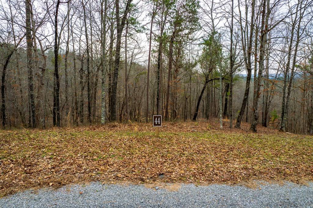 Talking Rock, GA 30175,Lot 44 Bucktail Way