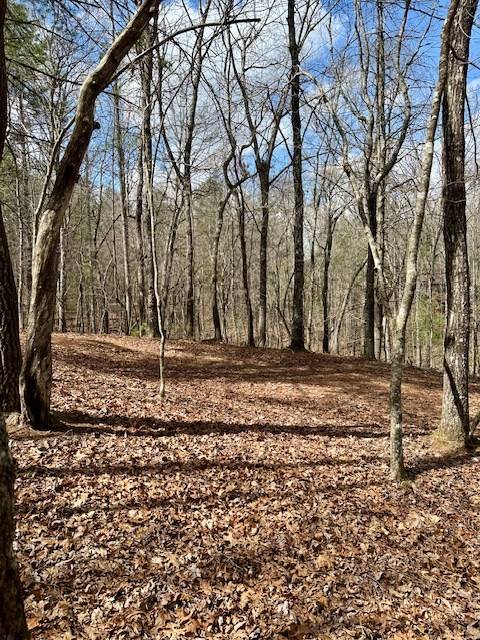 Murphy, NC 20906,Lot 7 Whitleys Cove