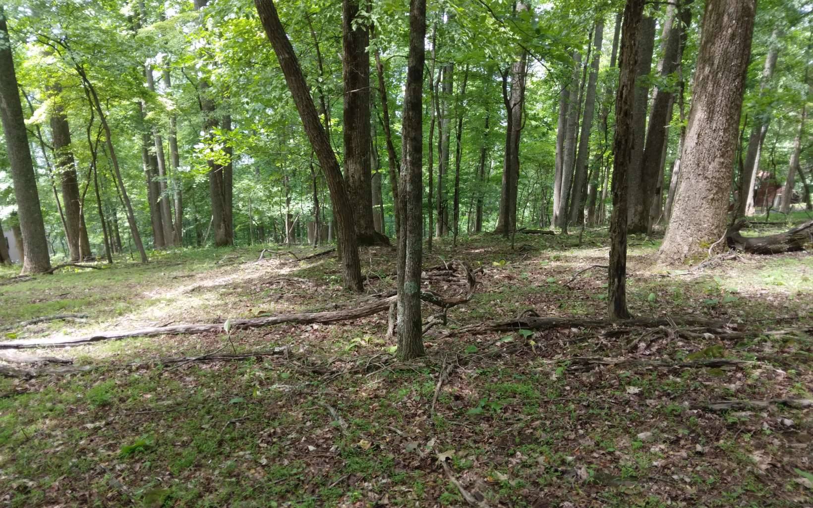 Ellijay, GA 30536,M213 Walnut Ridge