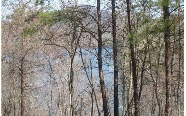 Murphy, NC 28906,LT 27 Appalachia Cove Road