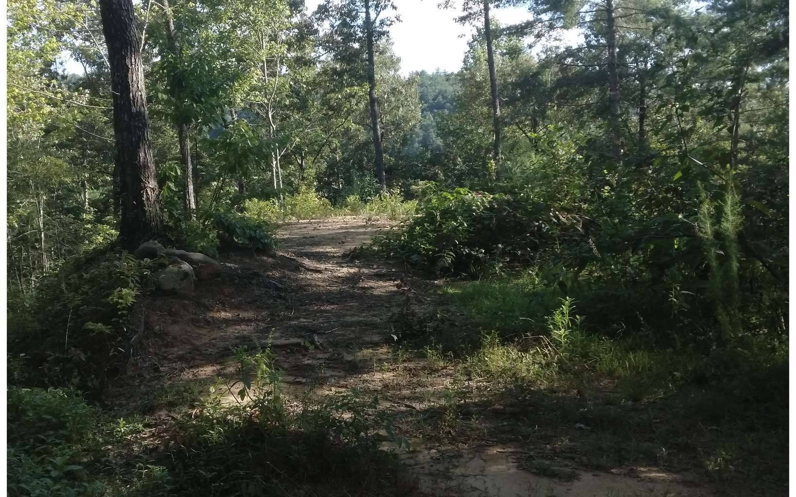 Murphy, NC 28906,LT 27 Appalachia Cove Road