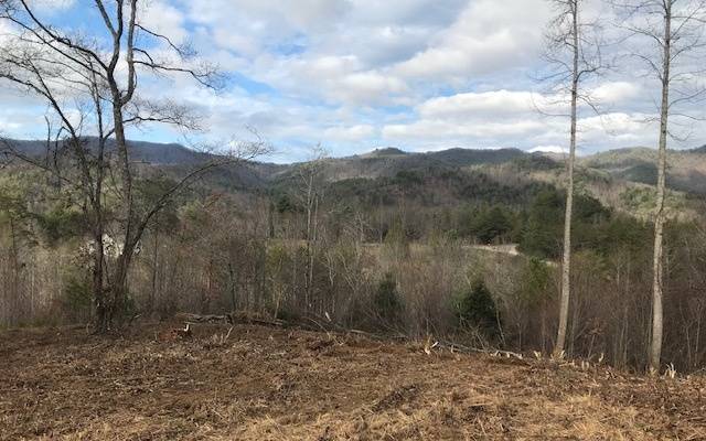 Hayesville, NC 28904,A Sweetwater Bend Drive