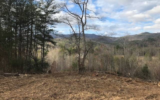 Hayesville, NC 28904,A Sweetwater Bend Drive