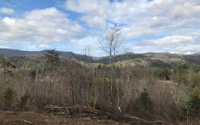 Hayesville, NC 28904,A Sweetwater Bend Drive