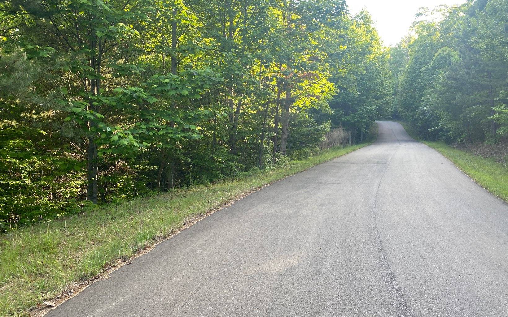 Morganton, GA 30560,LT 47 Ralston Gap Road