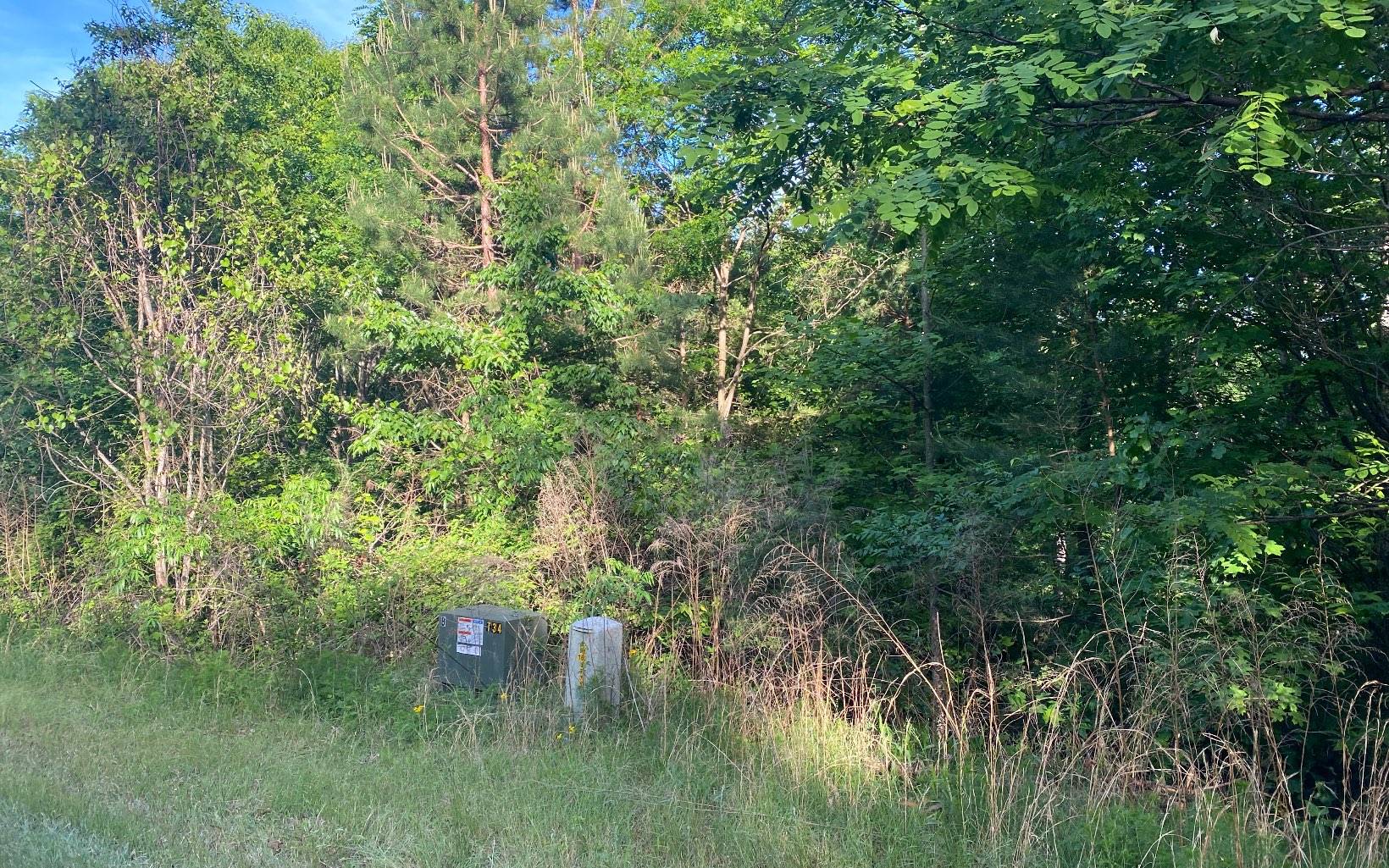 Morganton, GA 30560,LT 47 Ralston Gap Road