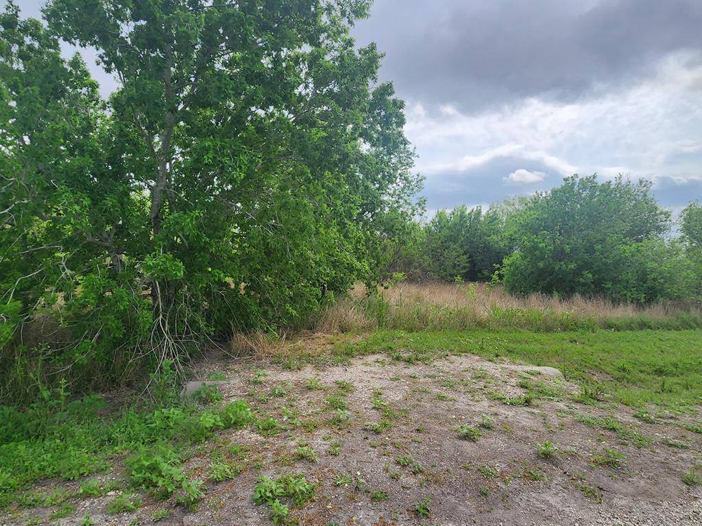 Bishop, TX 78343,0 14D County rd