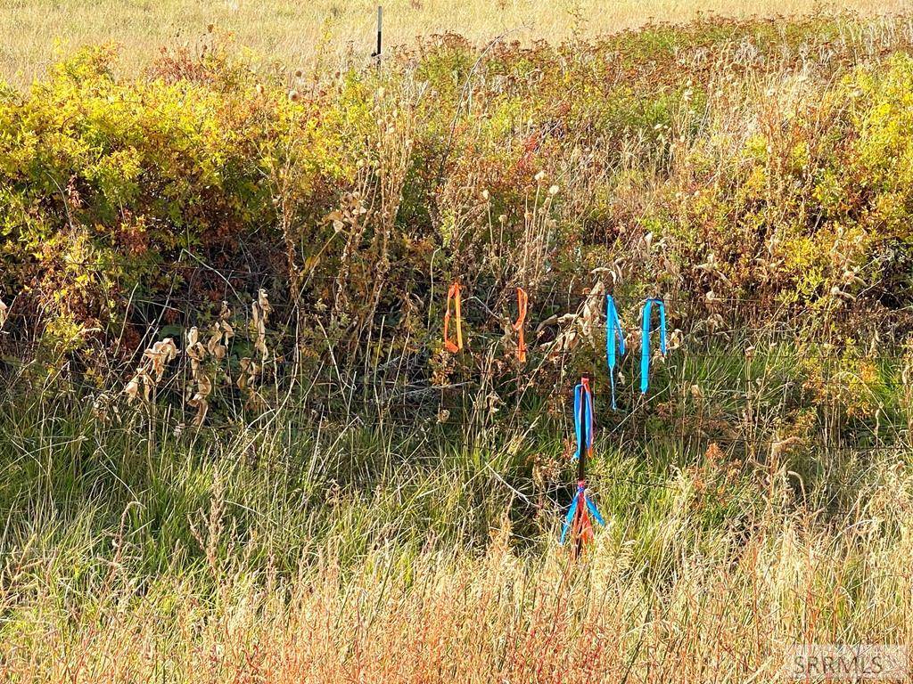 Rigby, ID 83442,Parcel 3 4100 E