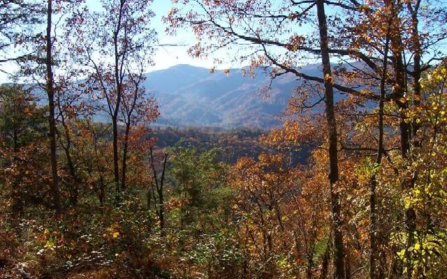 Hiawassee, GA 30546,LOT 1 Caesar Gap Road