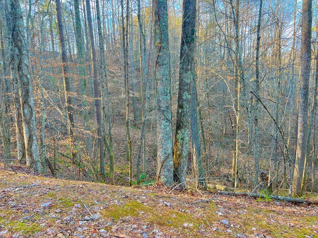 Talking Rock, GA 30175,Lot 53 Mountain Creek Hollow Drive