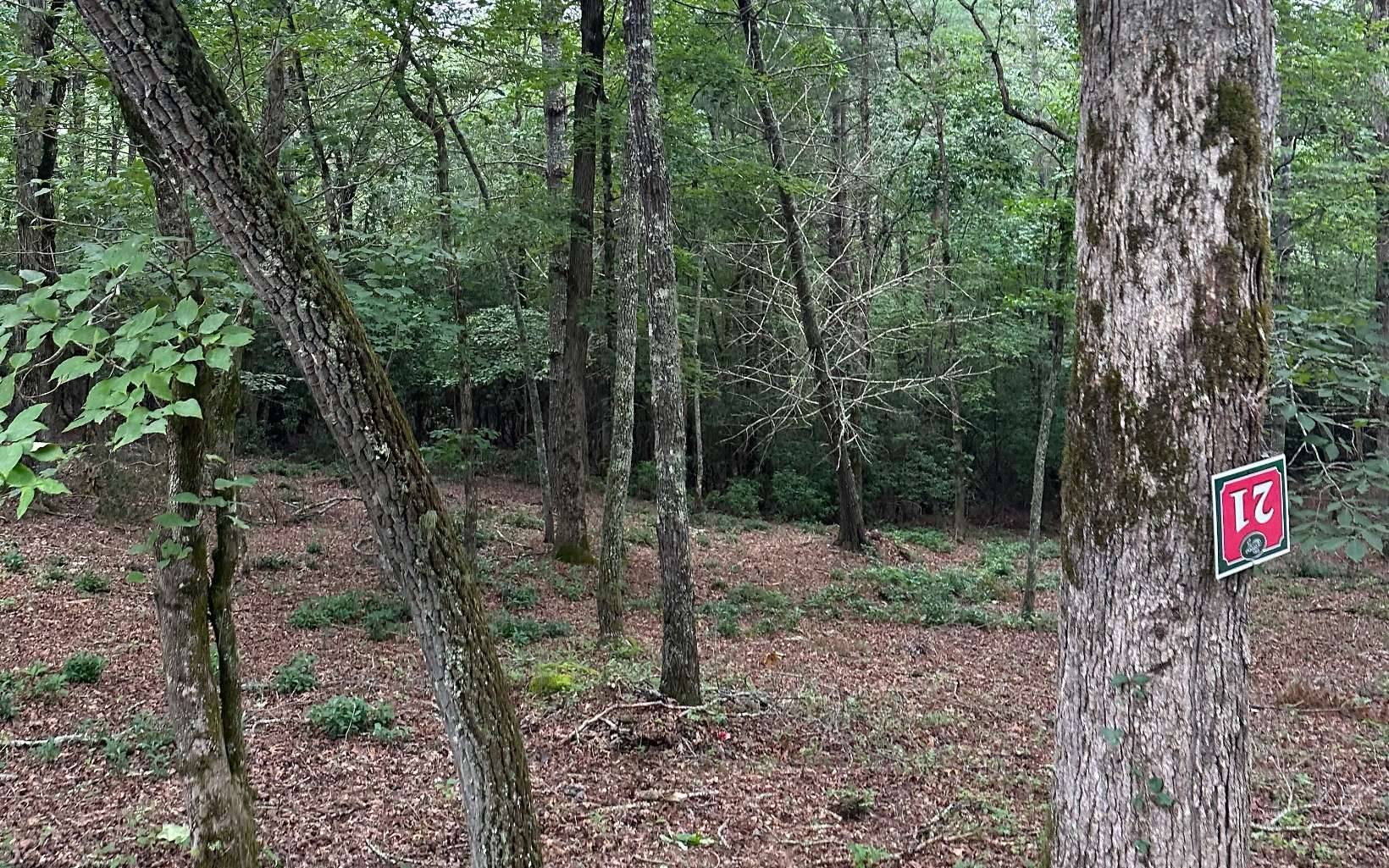 Brasstown, NC 28909,Lot 21 Cricket Lane