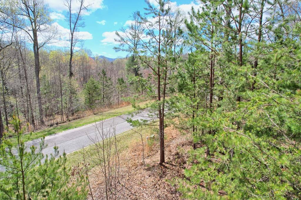 Blairsville, GA 30512,LT 29 Sharp Top Settlement