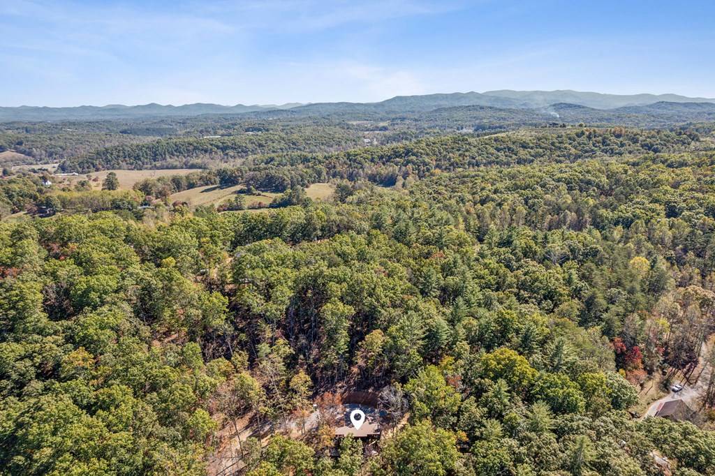 Blue Ridge, GA 30513,291 Longs Road
