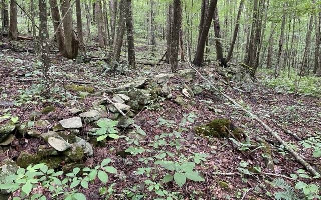 Blairsville, GA 30512,0 Trackrock Gap Road