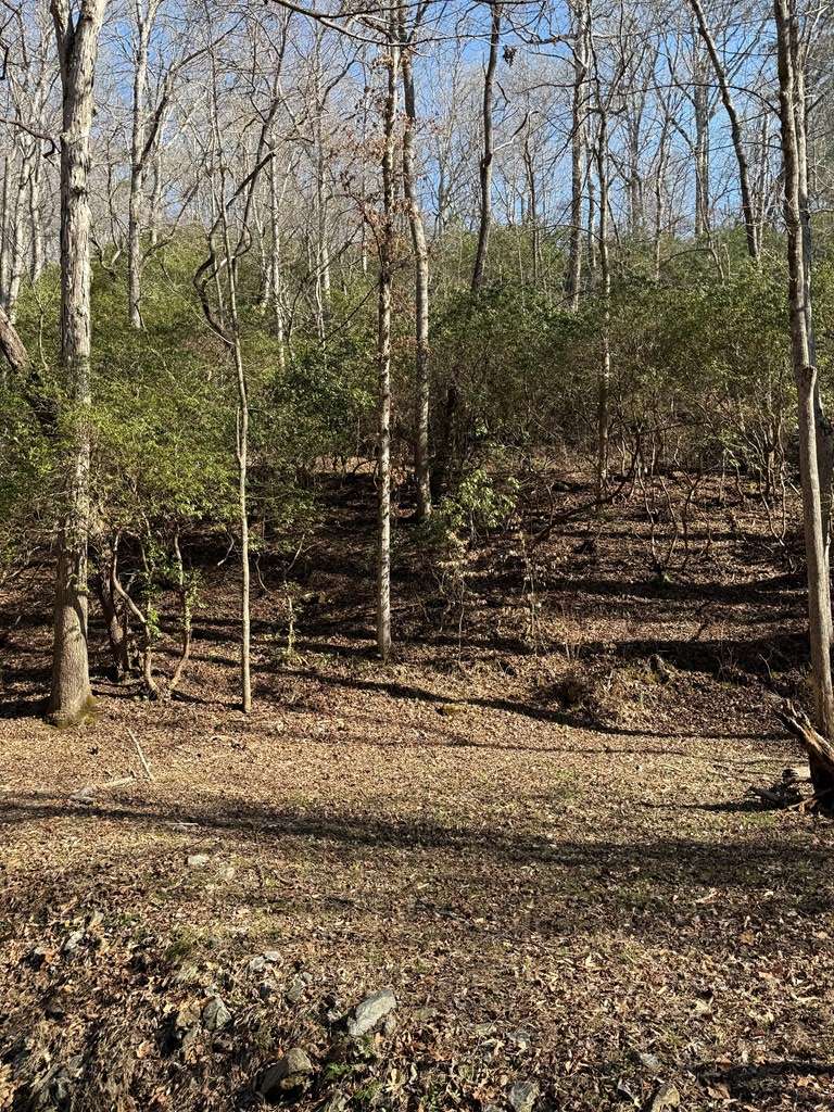 Young Harris, GA 30582,Tract 1 Cherokee Trail