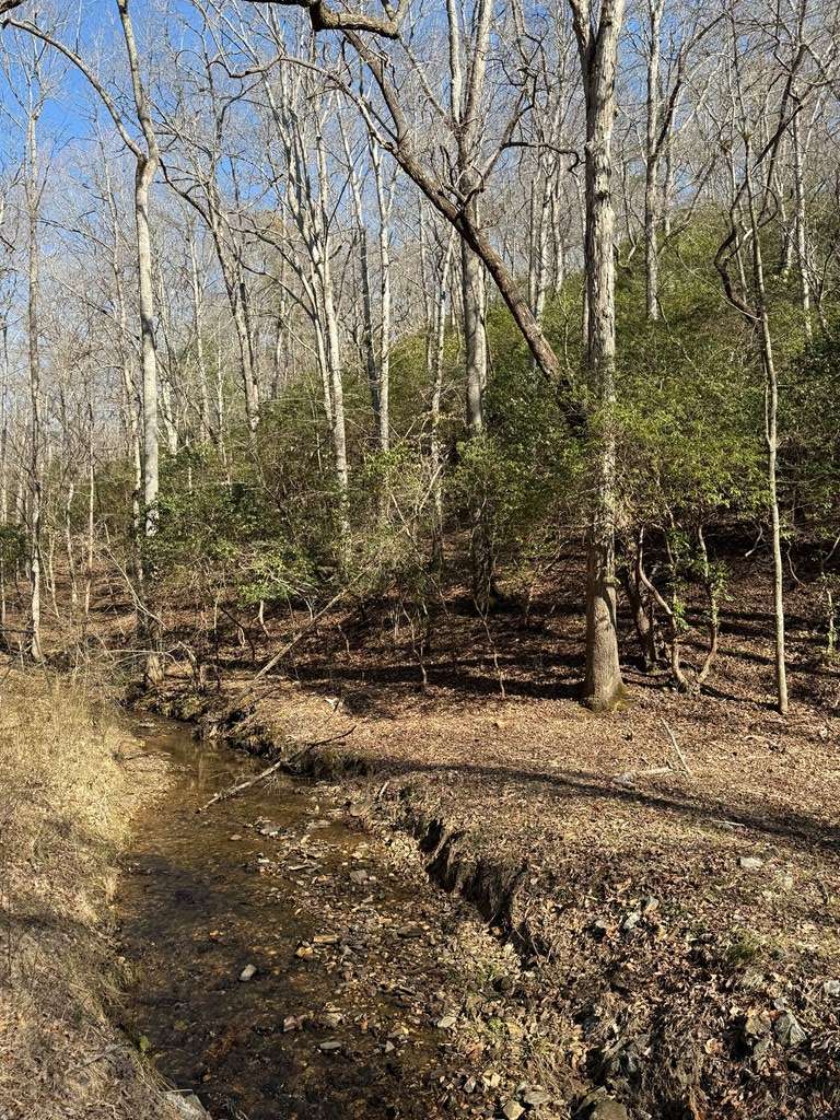 Young Harris, GA 30582,Tract 1 Cherokee Trail