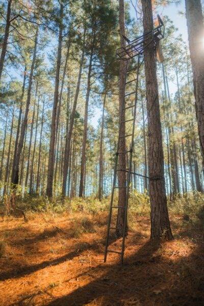 Cairo, GA 39828,Address not disclosed