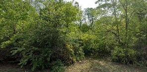 Lancaster, TX 75146,512 N Henry Street