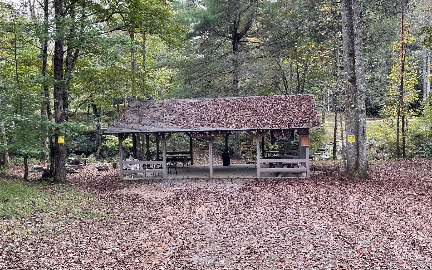 Hayesville, NC 28904,TR 1 Fires Creek Cove Road