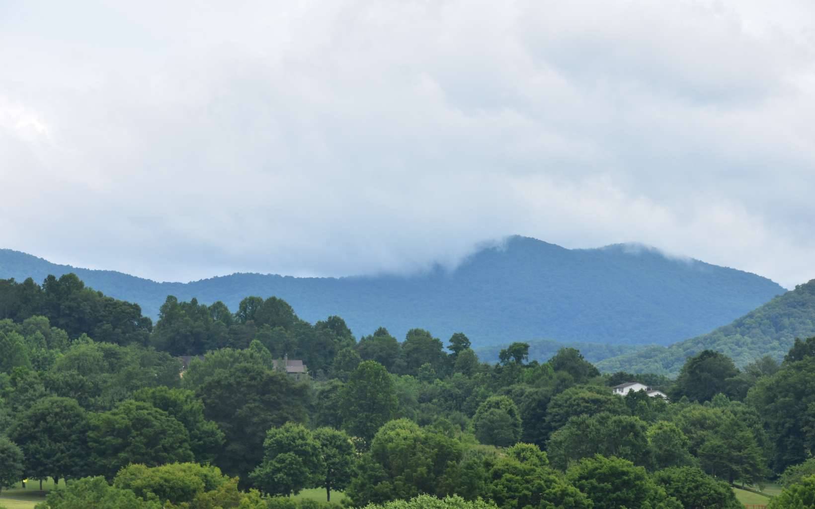 Hayesville, NC 28904,85A Licklog Ridge