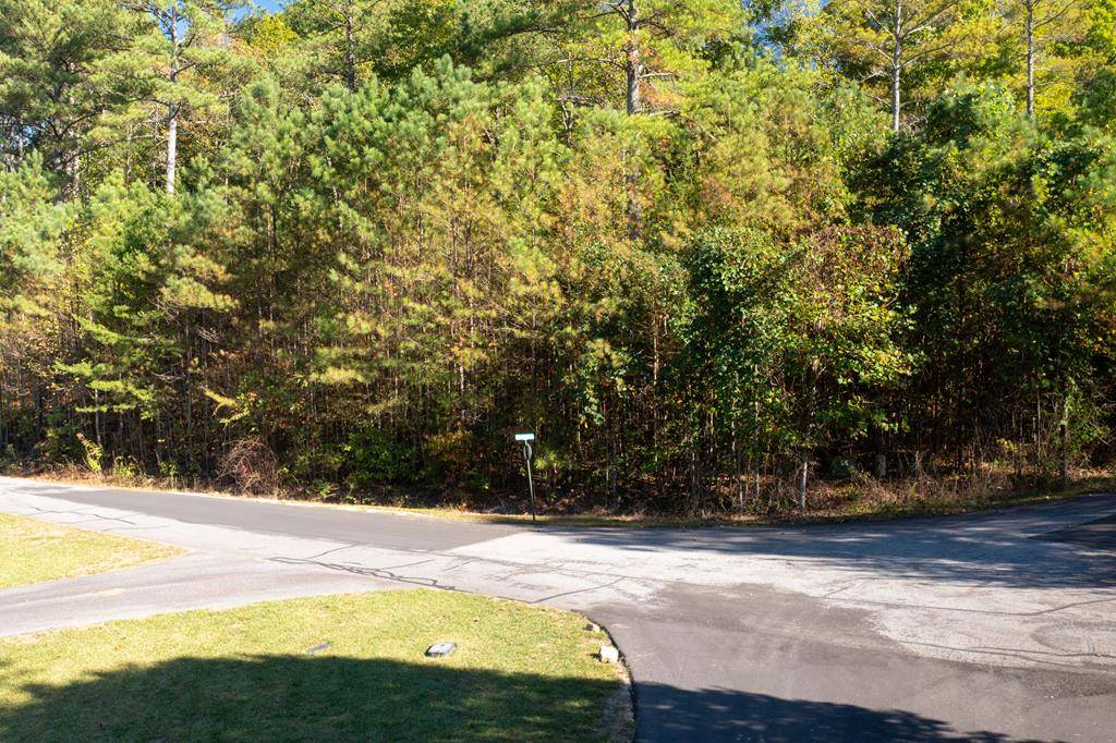 Young Harris, GA 30582,Lot 64 Meadow Brooke