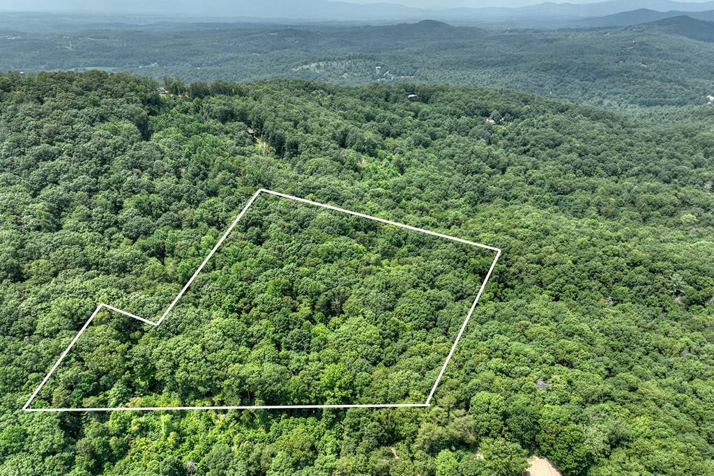 Mineral Bluff, GA 30559,7.89 AC Laurel Springs Road