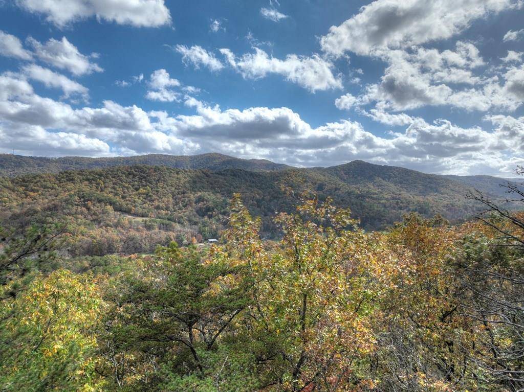 Blue Ridge, GA 30513,23.26 Ac Weaver Creek Road