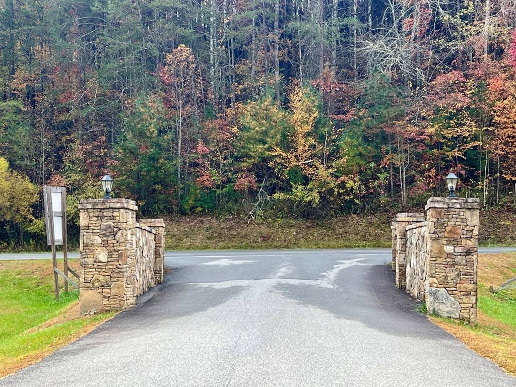 Brasstown, NC 28902,Lot 16 Cricket Lane