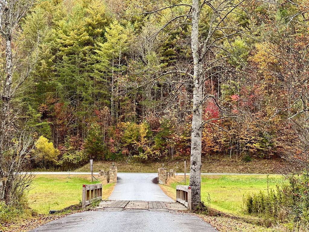 Brasstown, NC 28902,Lot 16 Cricket Lane