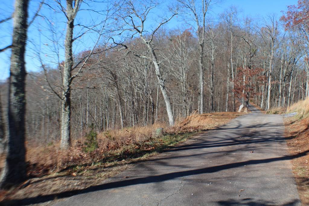 Hayesville, NC 28904,Lot 139 Shiloh Ridge