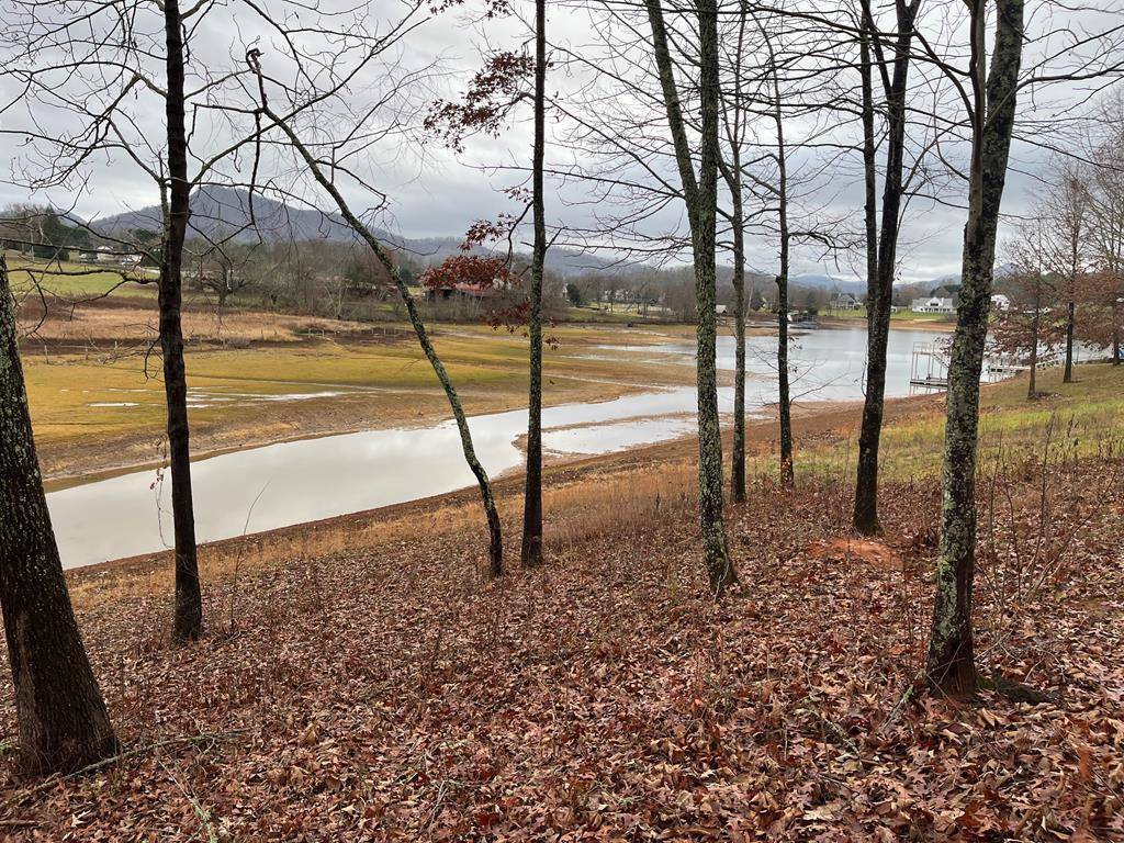 Hayesville, NC 28904,Lot 24 Arden Lane