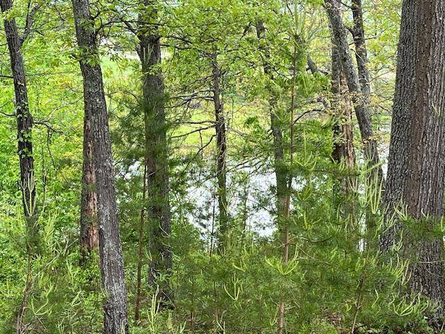 Hayesville, NC 28904,Lot 24 Arden Lane