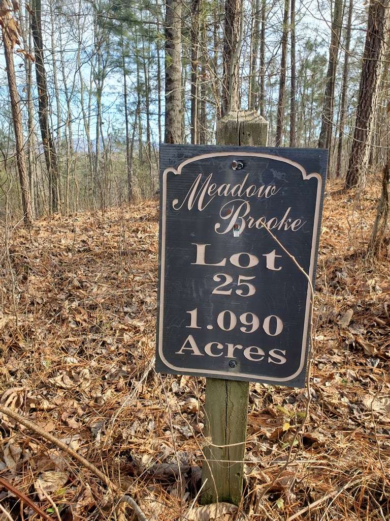 Young Harris, GA 30582,lot 25 Meadow Brooke