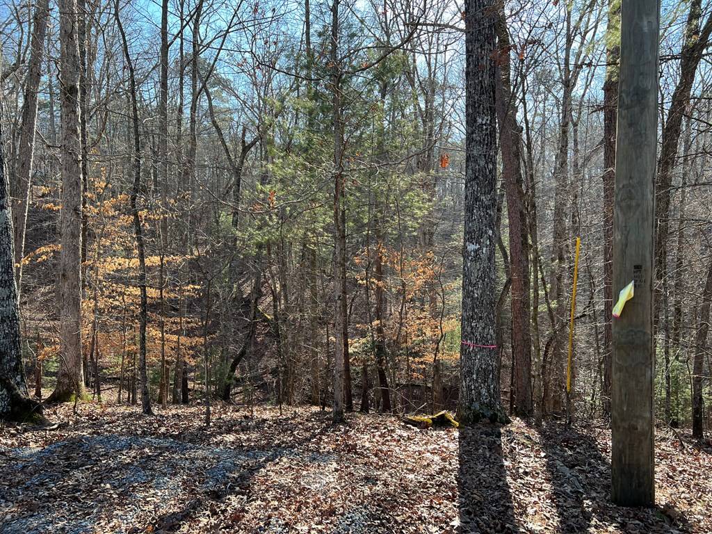 Ellijay, GA 30540,Lt1014 Gibe Court
