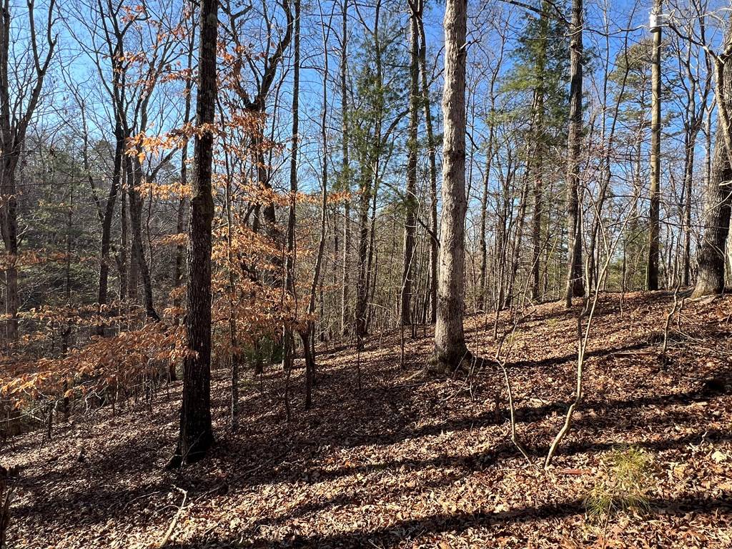 Ellijay, GA 30540,Lt1014 Gibe Court