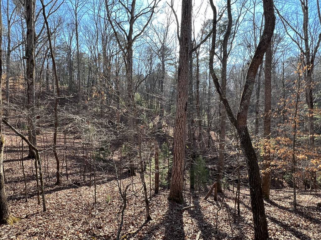Ellijay, GA 30540,Lt1014 Gibe Court