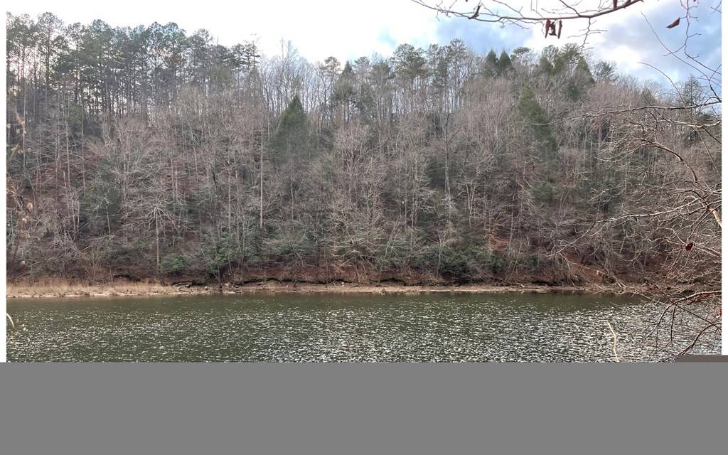Ellijay, GA 30540,681,682 Julep Circle