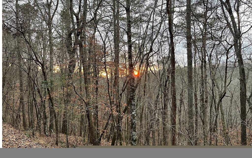 Ellijay, GA 30540,681,682 Julep Circle