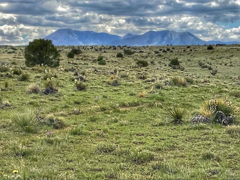 Walsenburg, CO 81089,Lot 92 Rio Cucharas