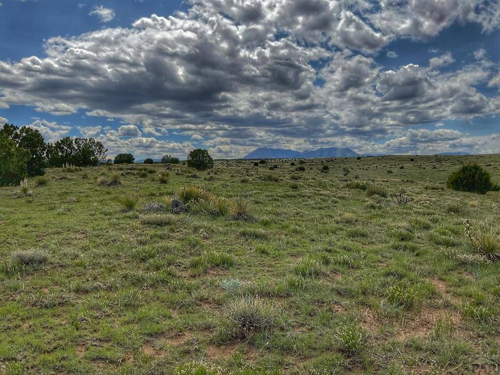Walsenburg, CO 81089,Lot 92 Rio Cucharas