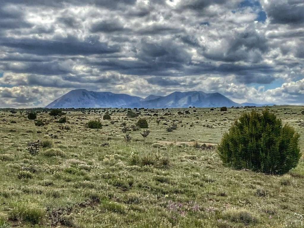 Walsenburg, CO 81089,Lot 92 Rio Cucharas