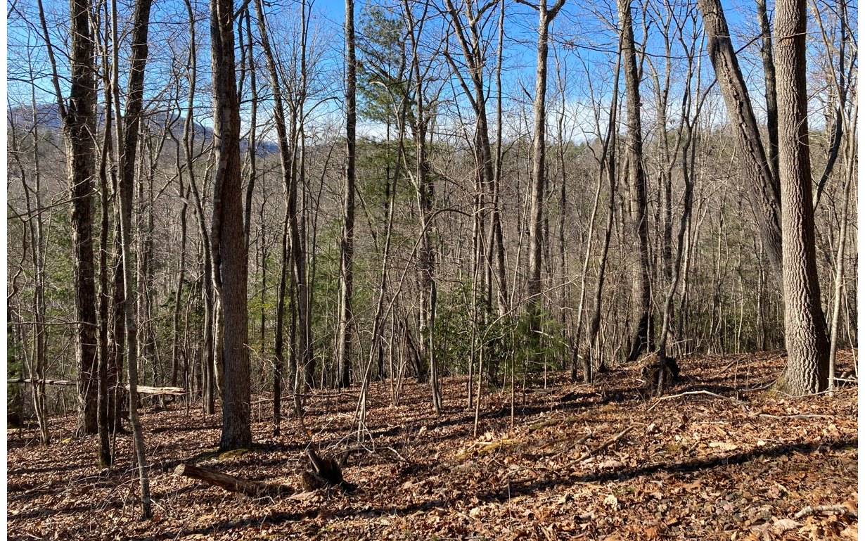 Murphy, NC 28906,31 High Ridge Road