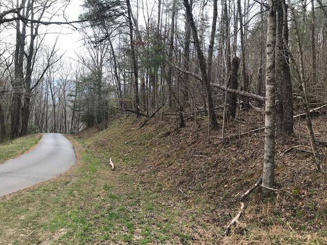 Hayesville, NC 28904,E Sweetwater Bend Drive