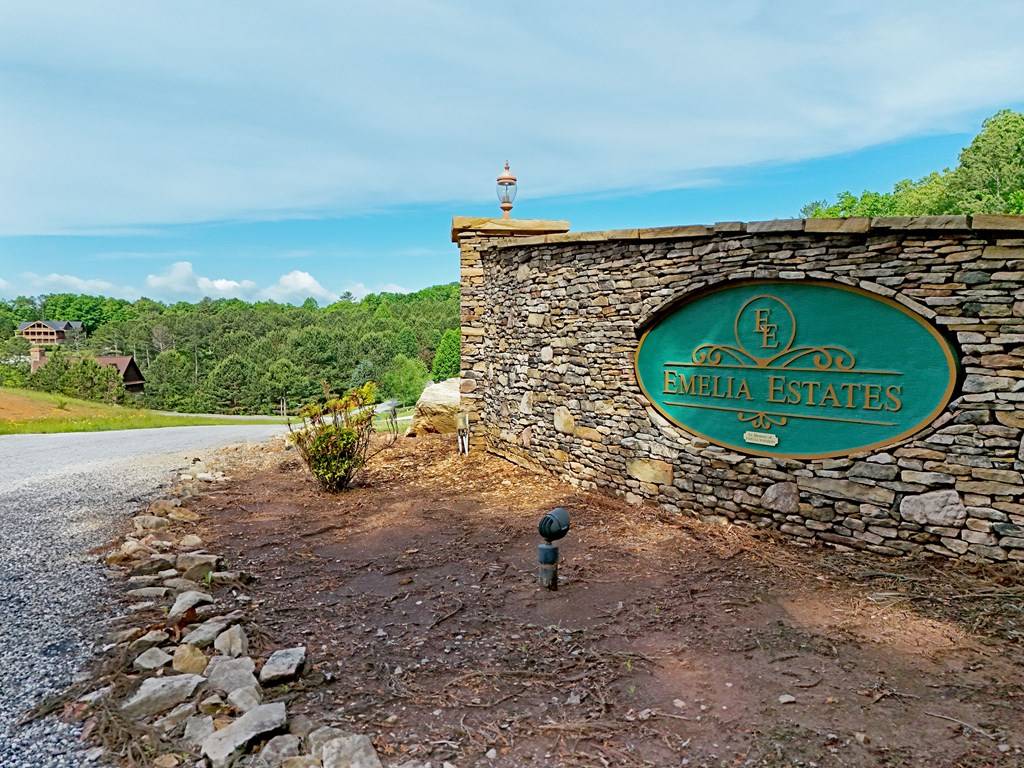 Morganton, GA 30560,LT 18/19 Pond Overlook Lane