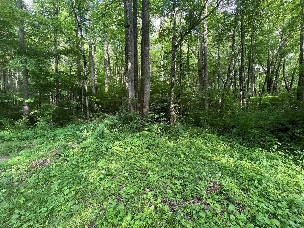 Andrews, NC 28901,Lot 8 Collett Creek Road