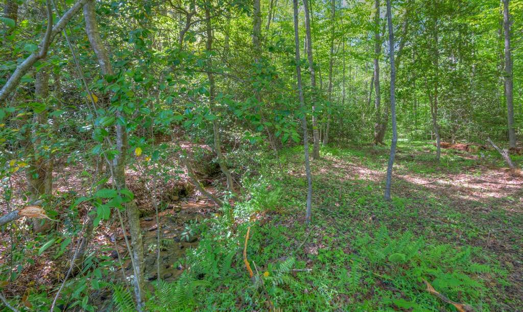 Murphy, NC 28906,16100 Hwy 64W