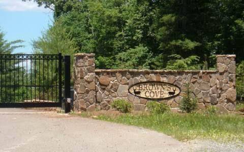 Blue Ridge, GA 30513,Lot 4 Browns Cove Road